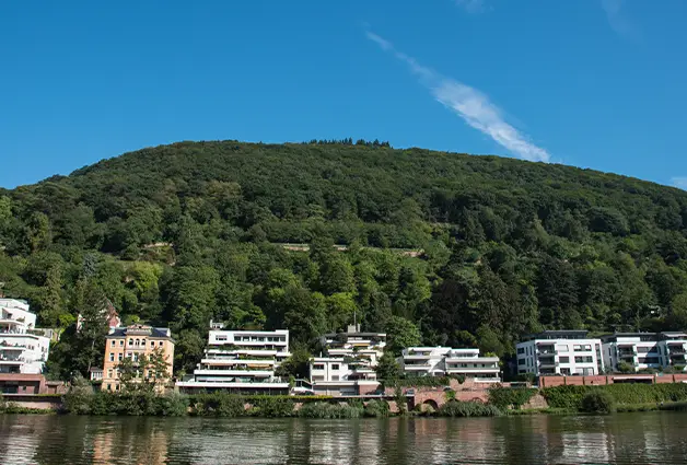 Neckar River