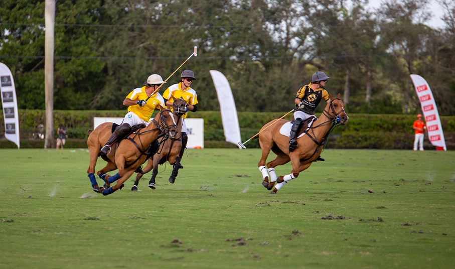 From Central Asia to America - Polo over the years.