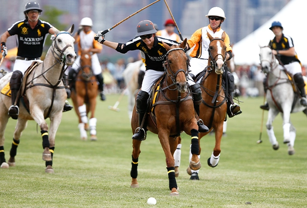 polo players