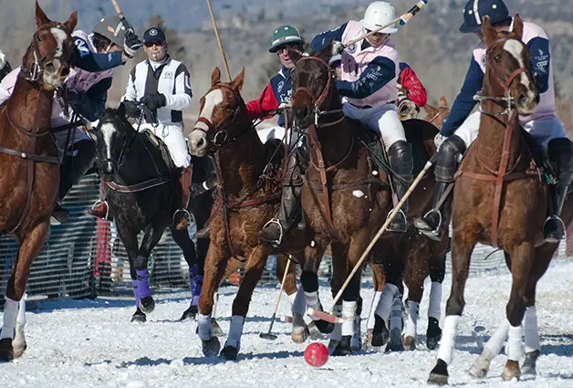 Polo in Aspen Colorado