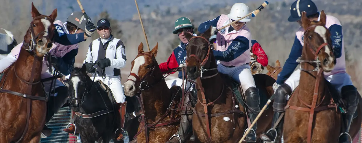 Polo in Aspen Colorado