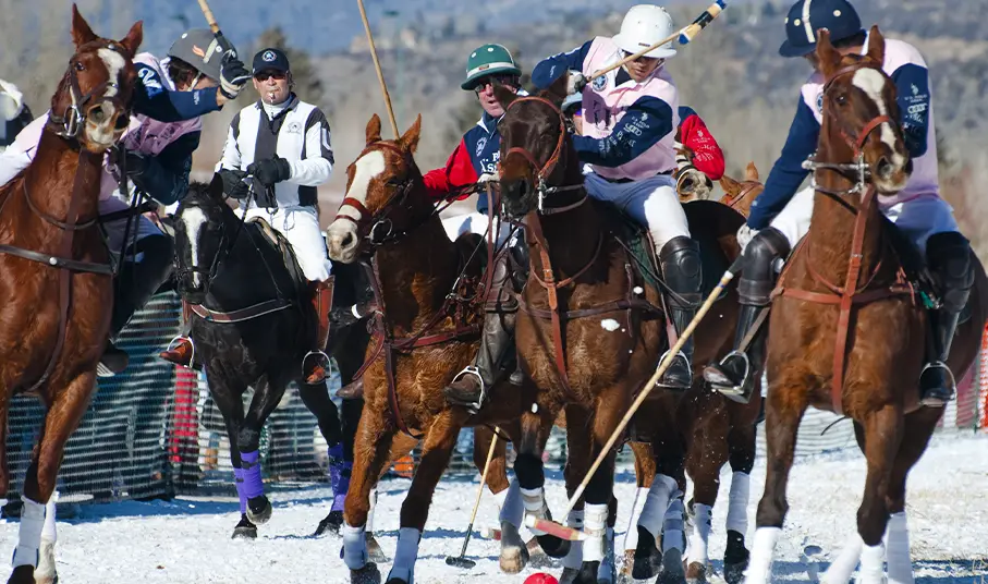 Polo in Aspen Colorado