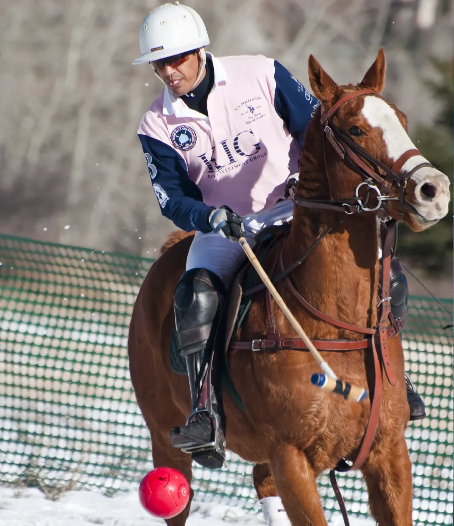 Snow Polo Player