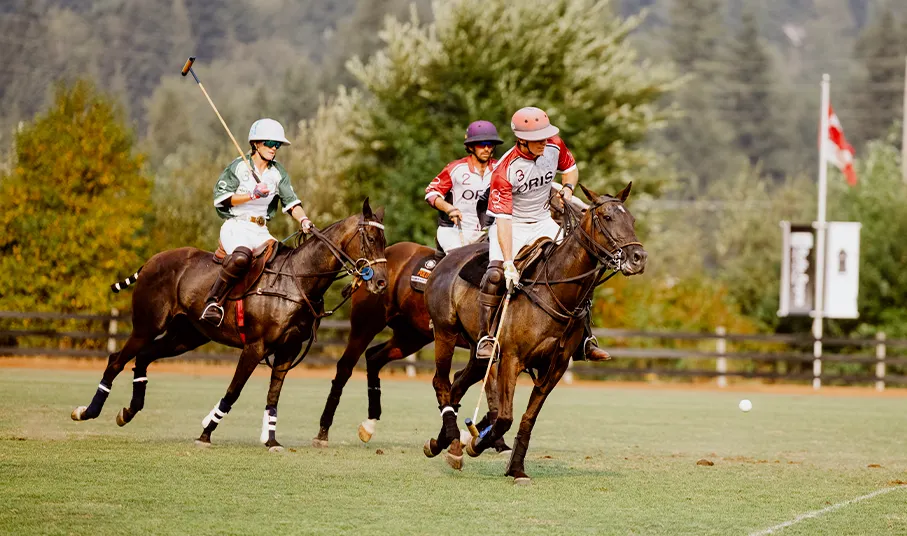 Polo Players