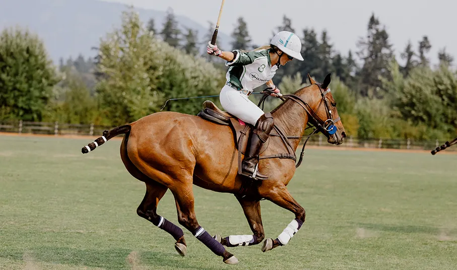 Polo Player