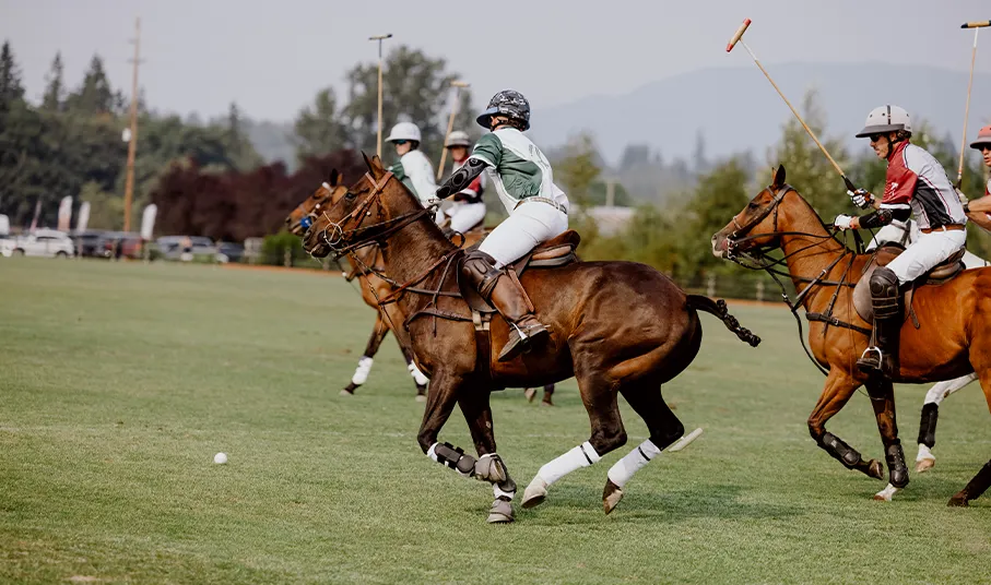 Polo Player