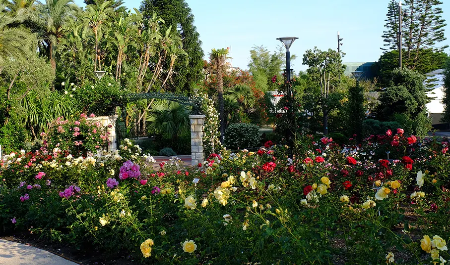 Princess Grace Rose Garden