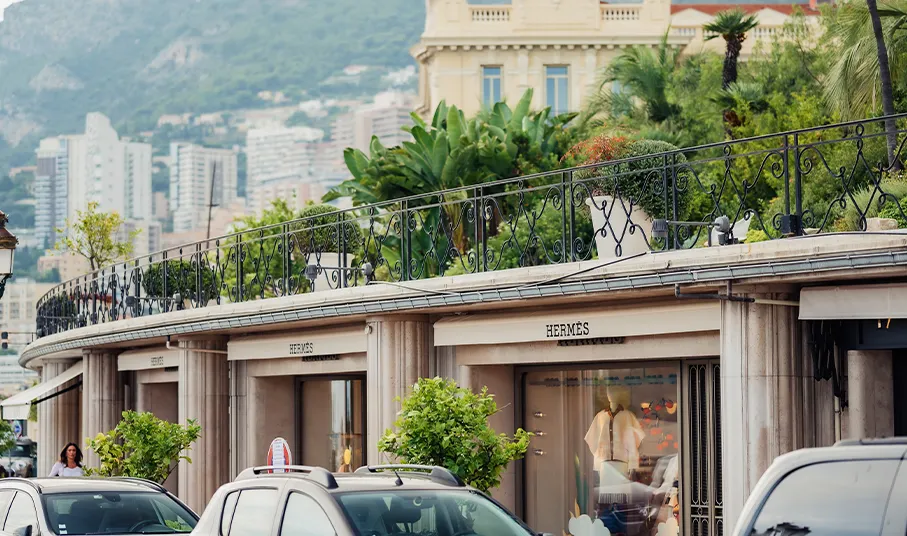 Monte Carlo Promenade