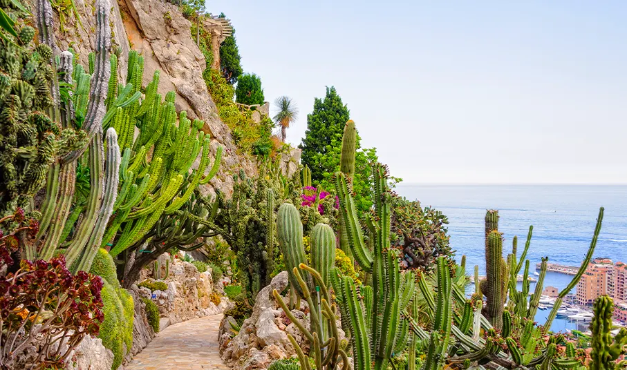 Jardin Exotique de Monaco