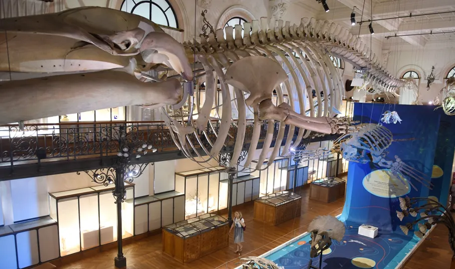 Oceanographic Museum Monaco